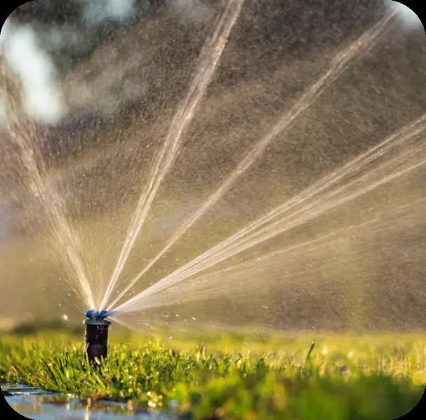 Sprinkler watering a lawn