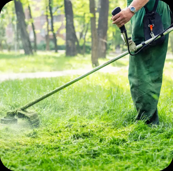 Trimming a lawn with a string trimmer
