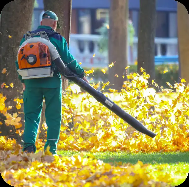 Leaf blower clearing autumn leaves