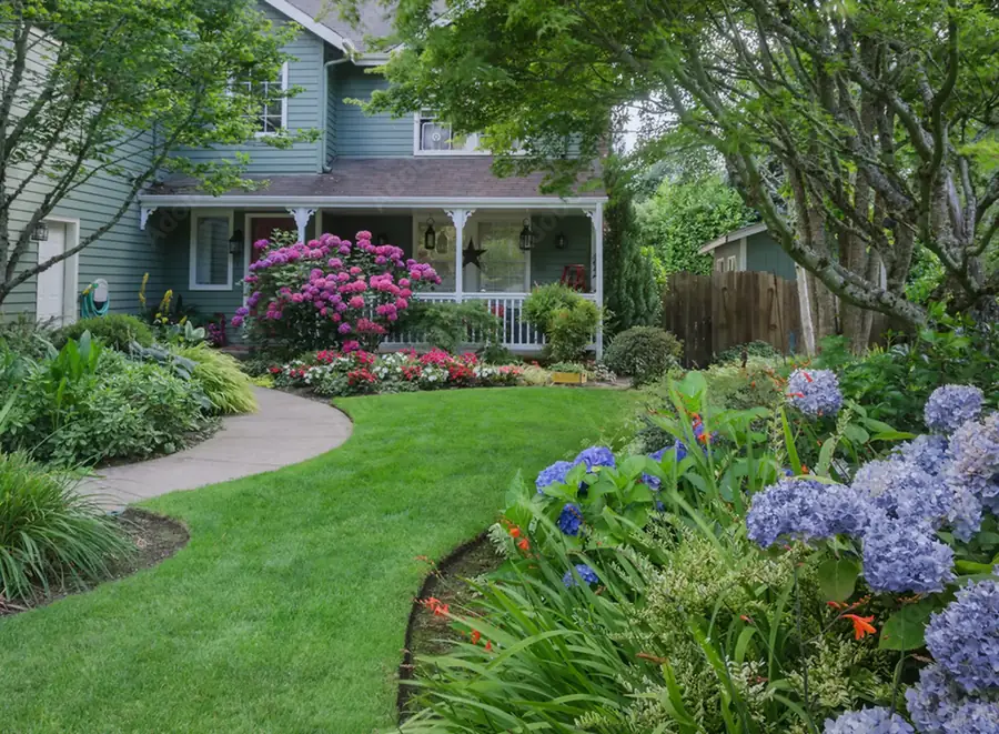 Purple flowers in a landscaped bed